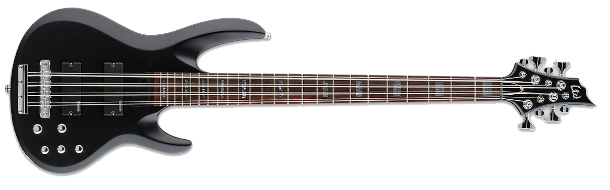 8 String Electric Bass
