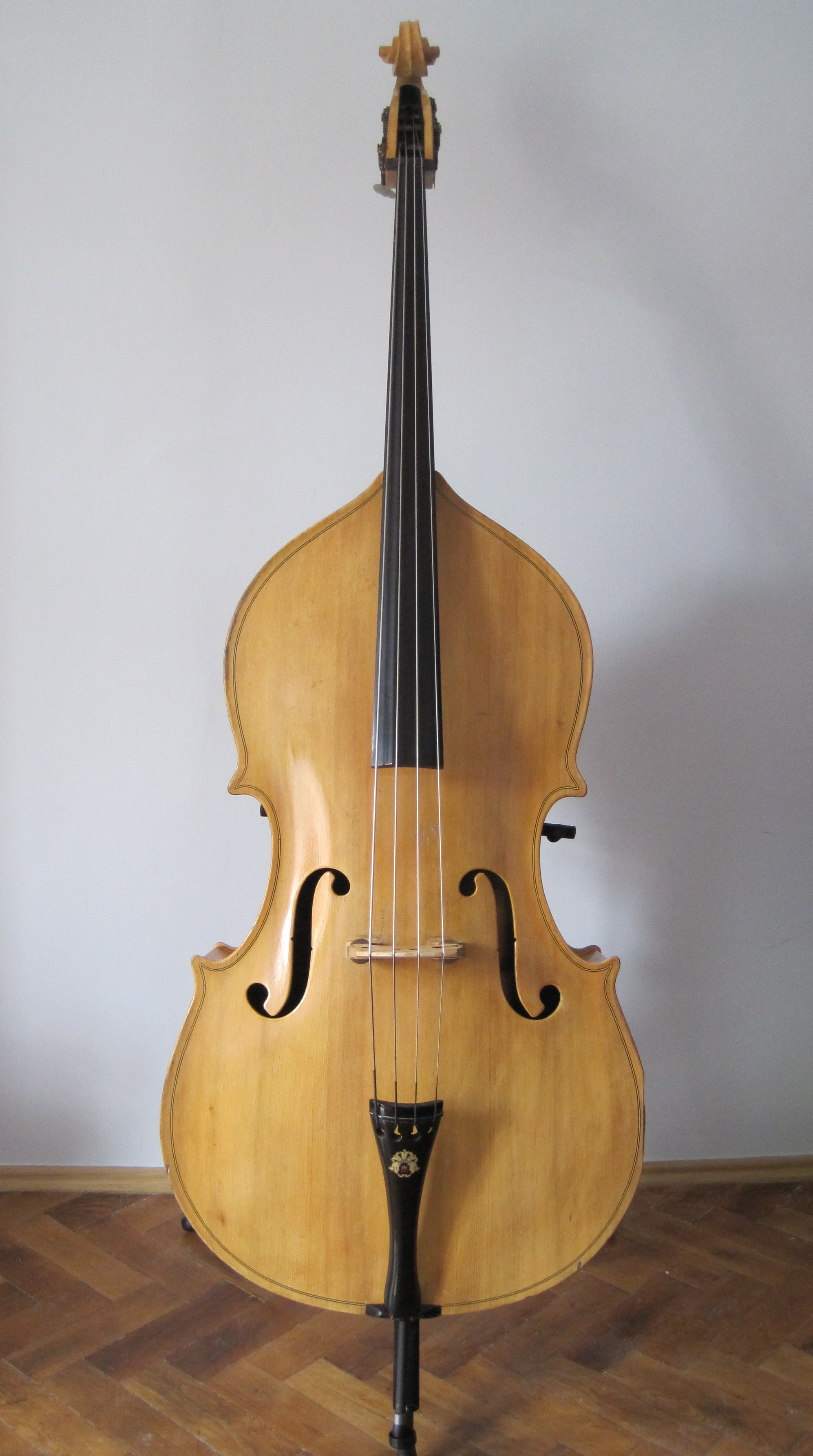 Upright Acoustic Bass