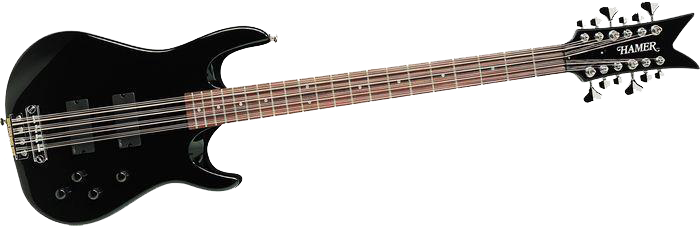 12-string Electric Bass