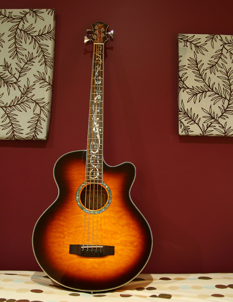 Acoustic Electric Bass